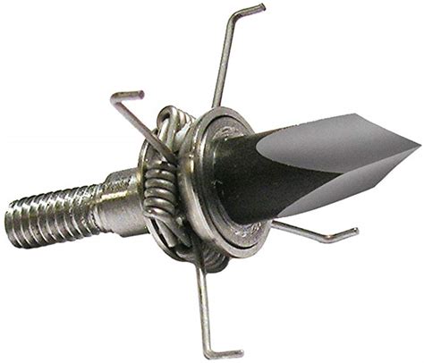 Squirrel Hunting Broadheads