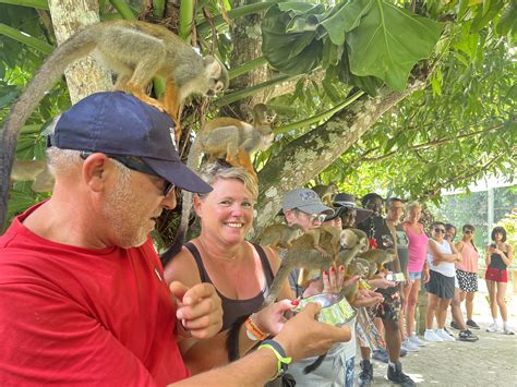 Squirrel Monkeys Interaction Punta Cana