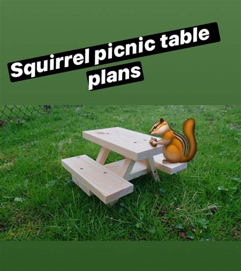 Squirrel Picnic Table Instructions