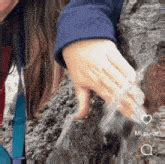 squirting gif