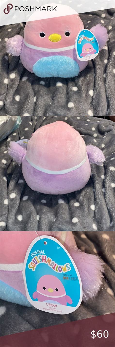 Squishmallow Mary the Octopus 8” *BOX LUNCH EXCLUSIVE* in 2022 Lunch