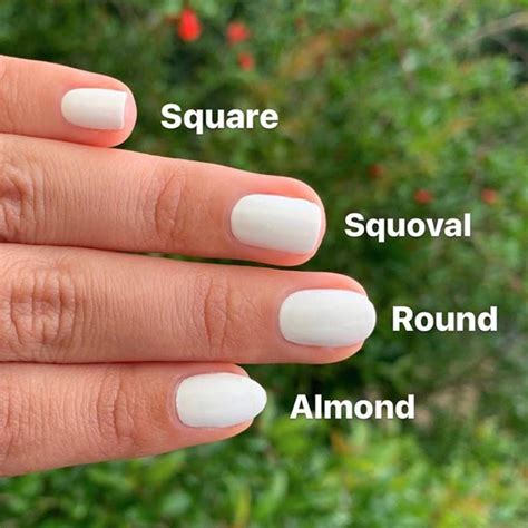 Squoval Nail Shape