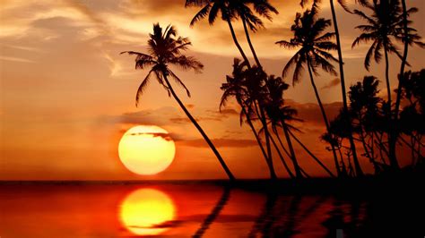 sri lanka sunset