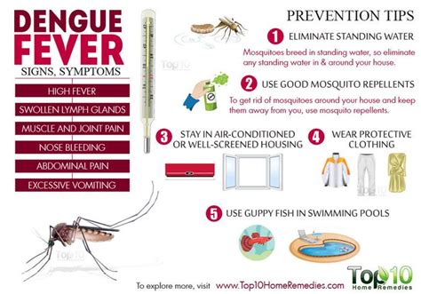 sri lanka to reduce dengue fever