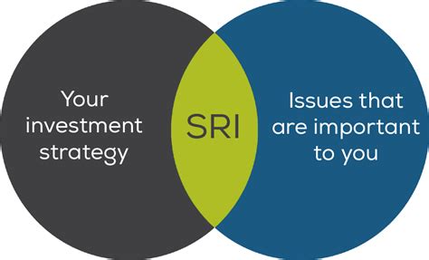 sri sustainable responsible investing