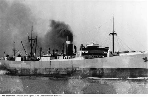 ss anglo australian