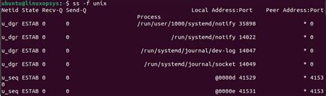 Ss List Unix Sockets
