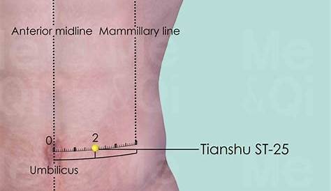 St 25 Acupuncture Point 552 Best Images About MTC Acupuntura 2 On Pinterest