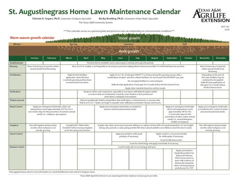 St Augustine Grass Maintenance Calendar