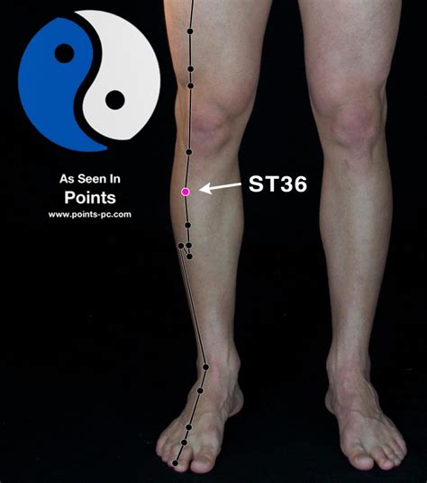 Unlock the Power of St 36 Acupuncture Point: Boosting Energy and Wellness Naturally