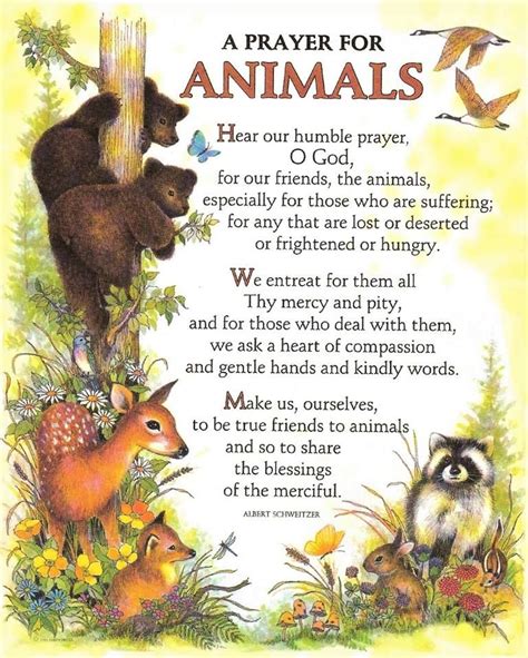 st francis assisi prayer for animals