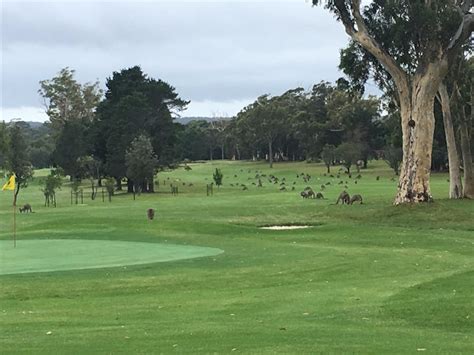 st george country club sanctuary point