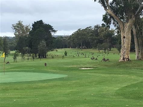 st georges basin country club nsw