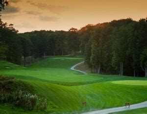 St Ives Golf Course: Unmatched Links Experience