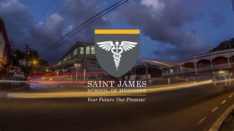 st james medical school location