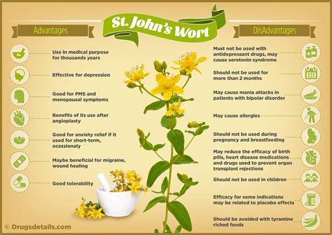 St John's Wort Does It Work