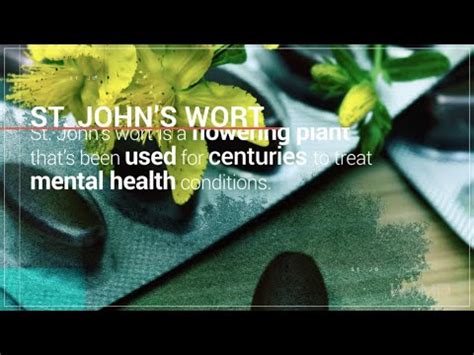 St John's Wort Webmd