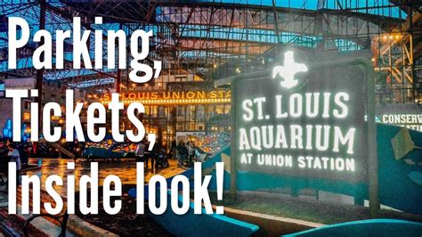 st louis aquarium at union station parking