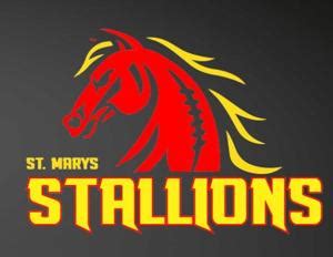 st marys stallions youth football
