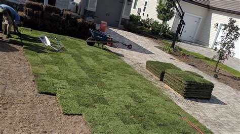 st. augustine sod installation