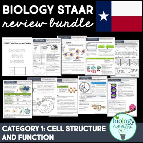 Staar Biology May 2021 Released Answer Key: Everything You Need To Know