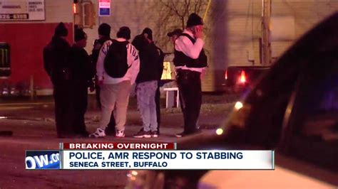 stabbing in buffalo ny