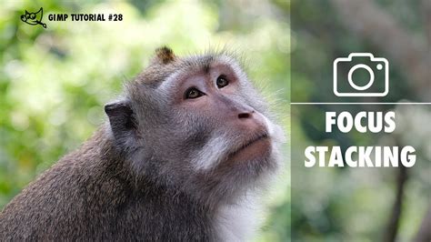 Stack Images In Gimp