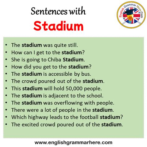 Stadium Examples In Sentences
