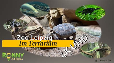 stadt leipzig zoo terrarium