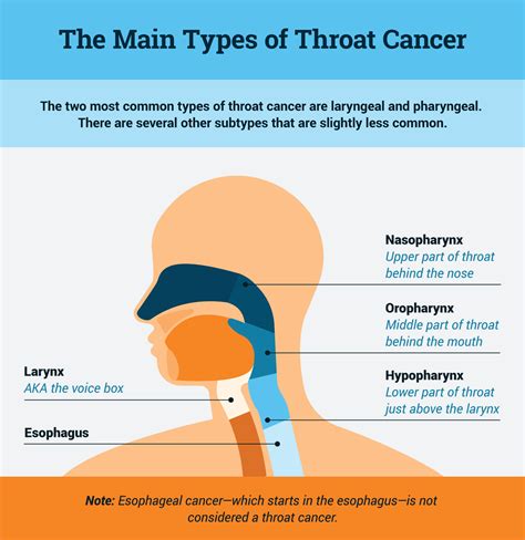 stage 2 hpv throat cancer survival rate