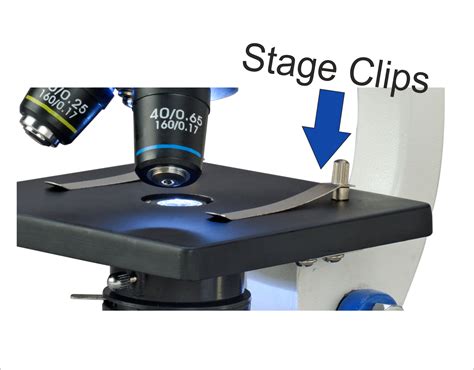 Stage Clip Function In Microscope