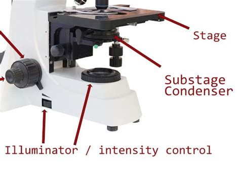 Stage Condenser Microscope Function