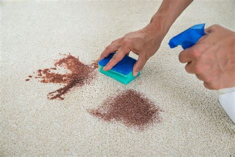 stain removal services
