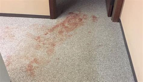 stained carpet