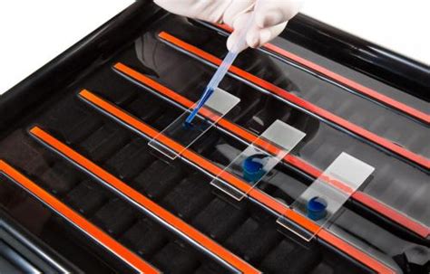 Staining Tray For Slides