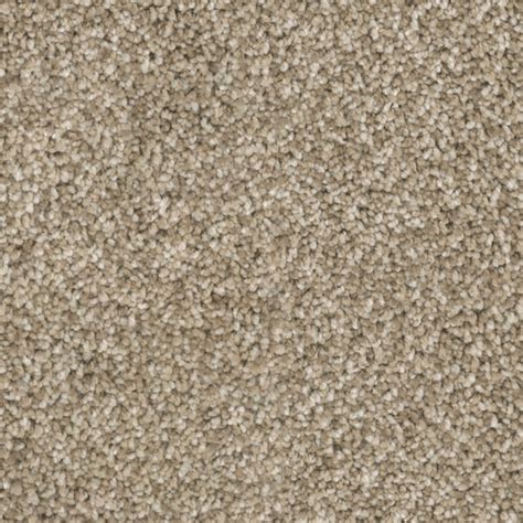 stainmaster nylon carpet