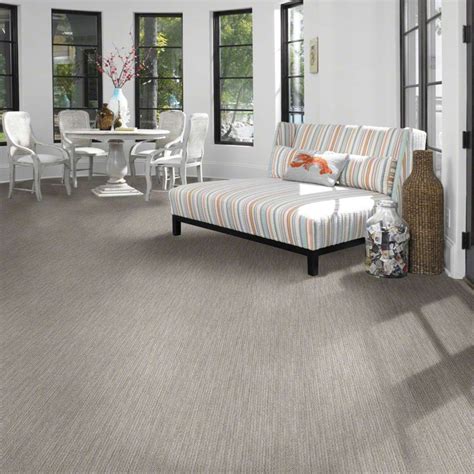 stainmaster nylon carpet