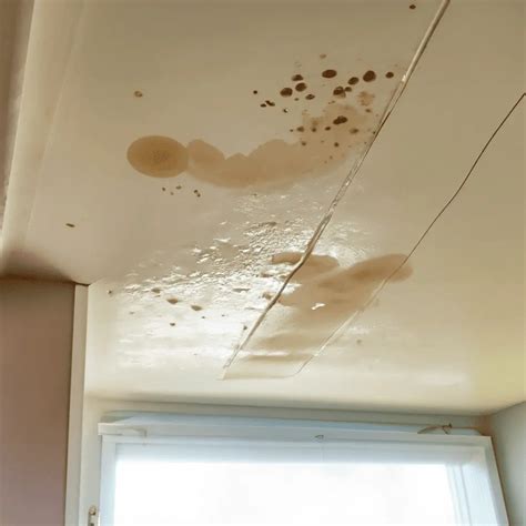stains on ceiling