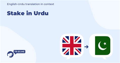 stakes meaning in urdu
