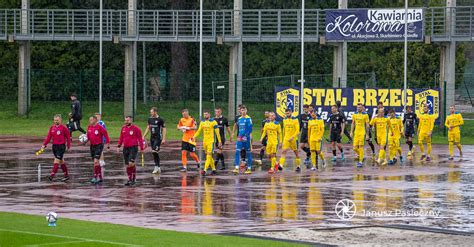 stal legnica