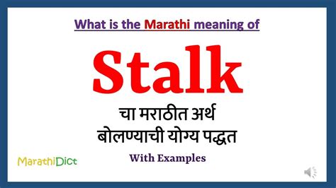 stalk meaning in marathi