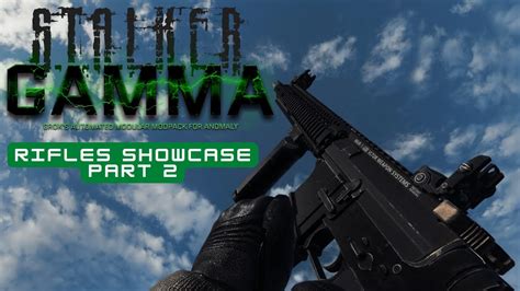 Stalker Gamma All Guns