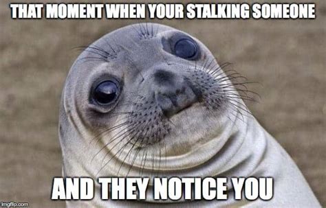 Stalking Meme