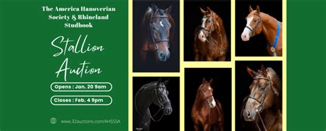 stallion breeding auctions 2023