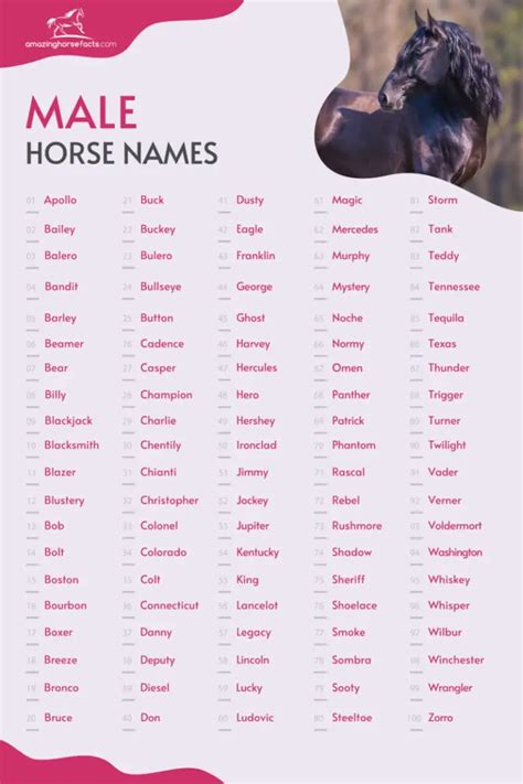 stallion horse name ideas