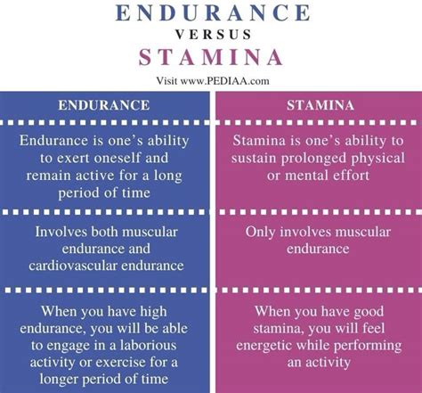 Stamina Definition