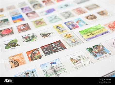 Stamp Collection Hobby Is Called