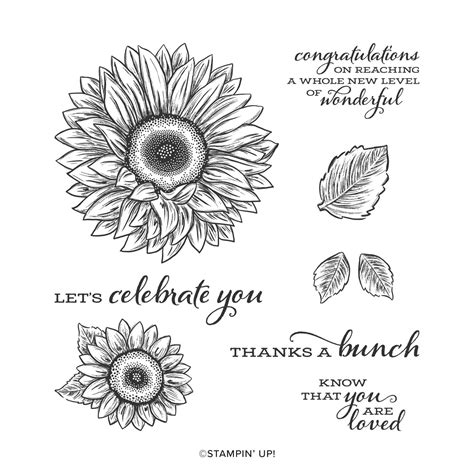 stampin up sunflower stamp set