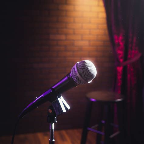 Stand Up Comedy Mic