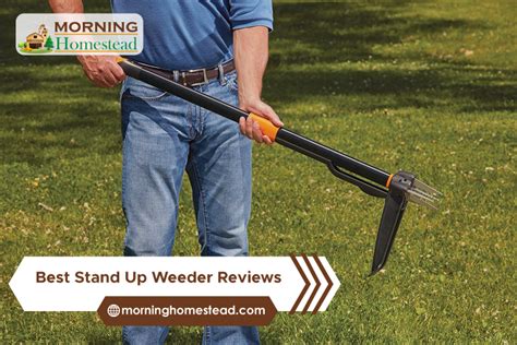 stand up weeder review